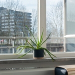 Woning aan Orionsingel 204 in Arnhem te koop