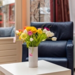 Woning aan Groenestraat 295 in Nijmegen te koop
