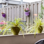 Woning aan Terralaan 54 in Nijmegen te koop