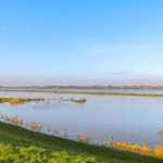 Woning aan Vriezeweg 4 in Deest te koop