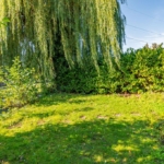 Woning aan Oude Groenestraat 6 in Oosterhout te koop