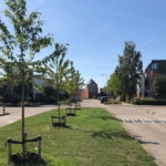 Woning aan Elstar 31 in Elst te koop