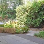 Woning aan Jac. van Looystraat 16 in Arnhem te koop