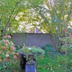 Woning aan De Rauwendaal 31 in Heteren te koop