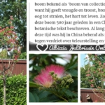 Woning aan Oude Groenestraat 6 in Oosterhout te koop