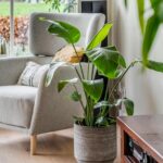 Woning aan Floralaan 35 in Bemmel te koop