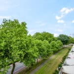 Woning aan Dillenburg 242 in Doorwerth te koop