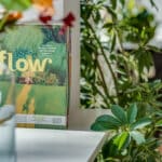 Woning aan Clara Fabriciuspark 2 in Slijk-ewijk te koop