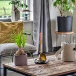 Woning aan Dorpsstraat 22 in Driel te koop