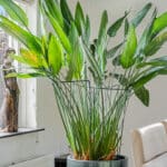 Woning aan Dwarsdijk 31 in Bemmel te koop