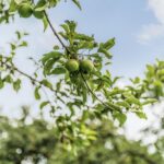 Woning aan Bylander 4 in Huissen te koop