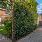 Woning aan Dwarsdijk 31 in Bemmel te koop