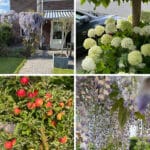 Woning aan Dwarsdijk 31 in Bemmel te koop