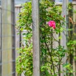 Woning aan Ganzenvoet 15 in Driel te koop