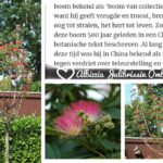 Woning aan Oude Groenestraat 6 in Oosterhout te koop