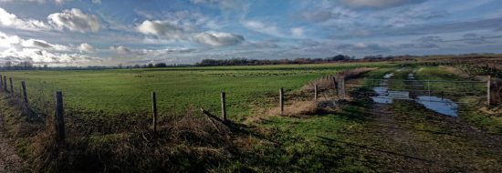 het-woonhart-bemmel-makelaar-bemmel-bemmelse-waard-groenlanden