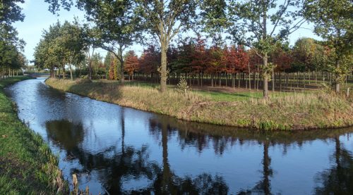 het-woonhart-dodewaard-makelaar-dodewaard-bedrijf-zandvoort-10-26-15-31