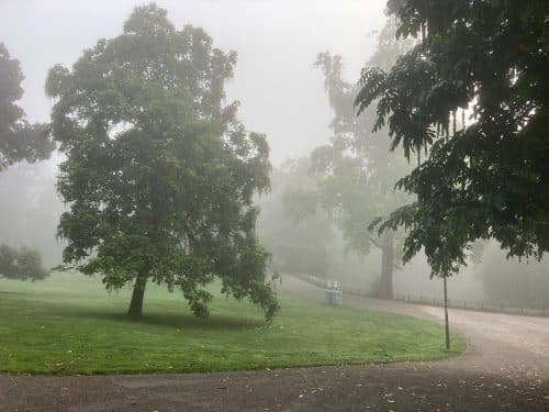het-woonhart-elst-makelaar-doodewaard-afferden-ewijk-deest-afferden-gld