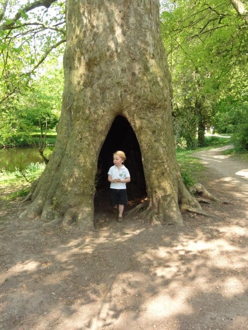het-woonhart-hemmen-makelaar-hemmen-overbetuwe-holle-boom-kasteelruine