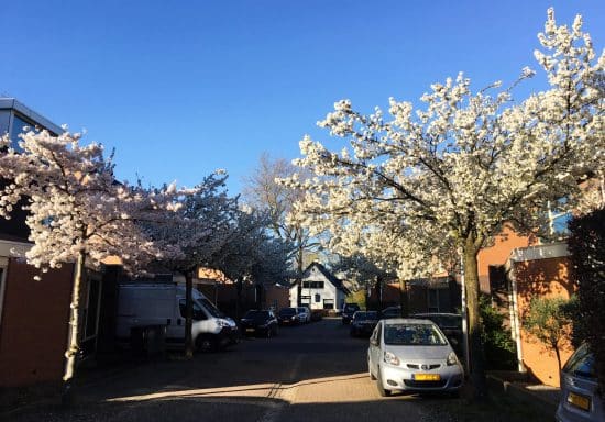 het-woonhart-huissen-makelaar-straat-johannahoeve-huissen-lingewaard