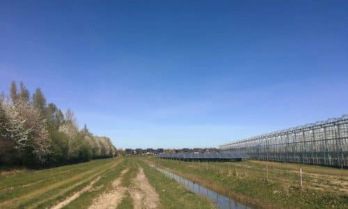 het-woonhart-huissen-makelaar-warehouses-at-clivia-huissen-betuwe-netherlands