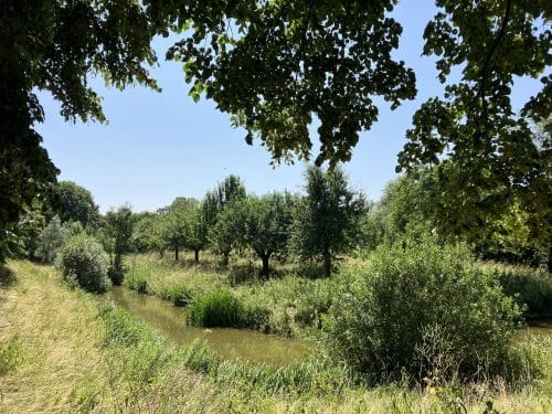 het-woonhart-randwijk-makelaar-locatie-kasteel-nijburg-randwijk