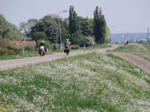 het-woonhart-slijk-ewijk-makelaar-slijk-ewijk-fietstoerisme-waaldijk