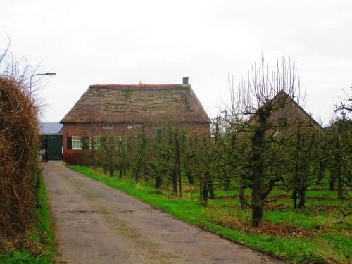 het-woonhart-slijk-ewijk-makelaar-slijk-ewijk-loenensestraat