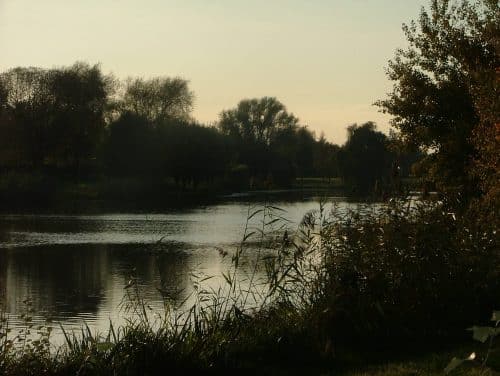 het-woonhart-wijchen-makelaar-wijchen